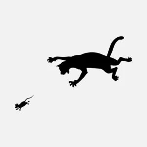 Cat and Mouse Vector