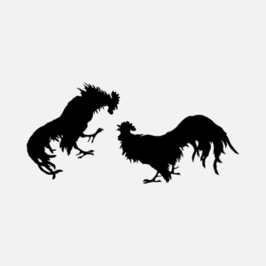 Chickens Silhouettes Vector