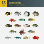 Exotic Fish Collection