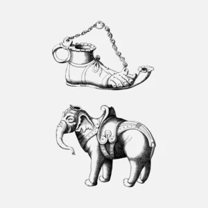 Curio Foot and Elephant Vector