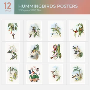 Hummingbirds Posters Collection