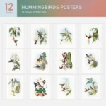 Hummingbirds Posters Collection