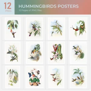 Hummingbirds Posters Collection