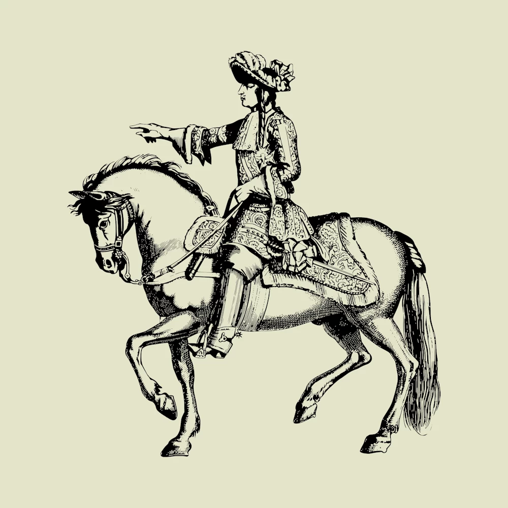 Louis the 14th King of France Vector
