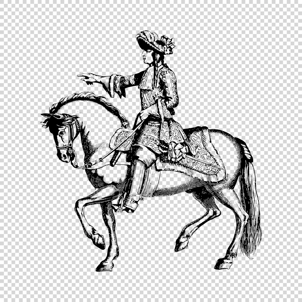 Louis the 14th King of France Vector