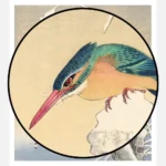 Winter Kingfisher Poster