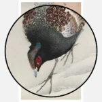 Winter Pheasant Poster