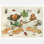 Insects and Fruit Poster