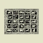 Animals Including a Unicorn and Dragon Vector