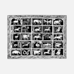 Animals Including a Unicorn and Dragon Vector