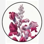 Antirrhinum Snapdragon Flower Poster