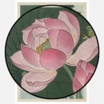 Blooming Lotus Flowers Poster