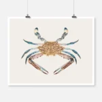 Blue Crab Poster