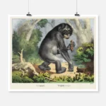 Chimpanzee Poster