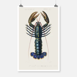 Crimson Crawfish Poster