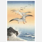 Five Seagulls over Turbulent Sea Poster