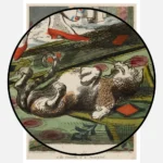 Luxury or the Comforts of a Rumpford Poster