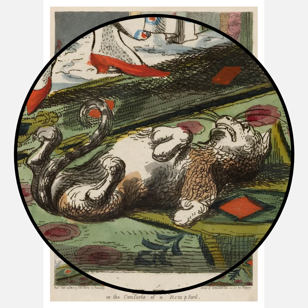 Luxury or the Comforts of a Rumpford Poster