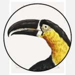 Mangiapepe Toucan Poster