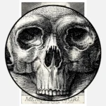 Memento Mori Print Poster