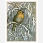 Robin on Snowy Tree Branch Poster