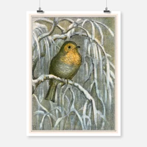 Robin on Snowy Tree Branch Poster