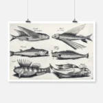 Six Fish Poster