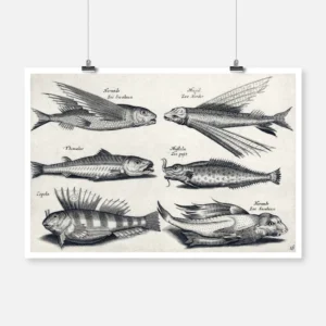 Six Fish Poster