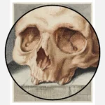 Skull in a Niche Poster