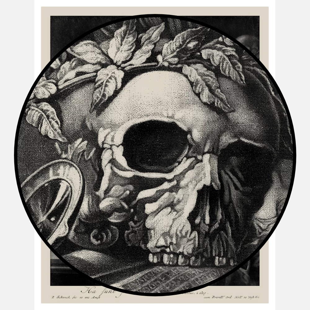 Still Life with a Skull and a Violin Poster