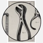 Surgery Surgical Instruments for the Amputation of Limbs