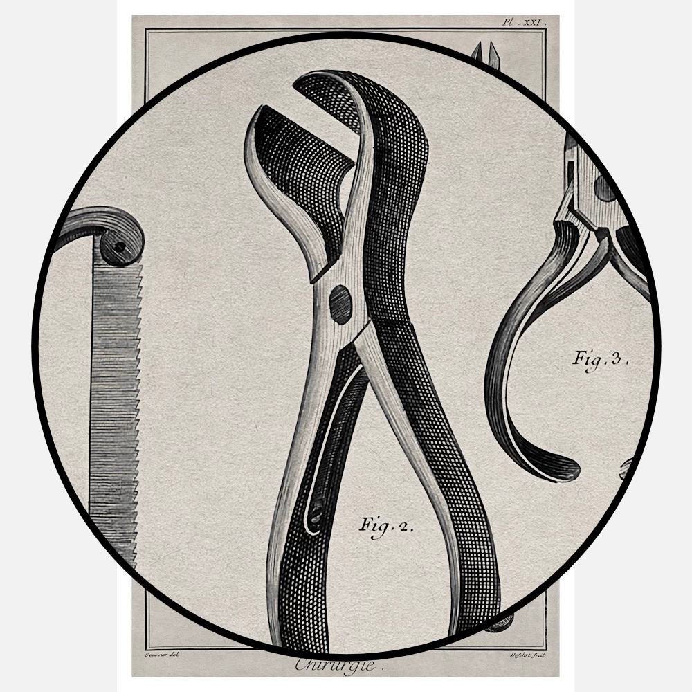 Surgery Surgical Instruments for the Amputation of Limbs