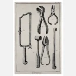 Surgery Surgical Instruments for the Amputation of Limbs