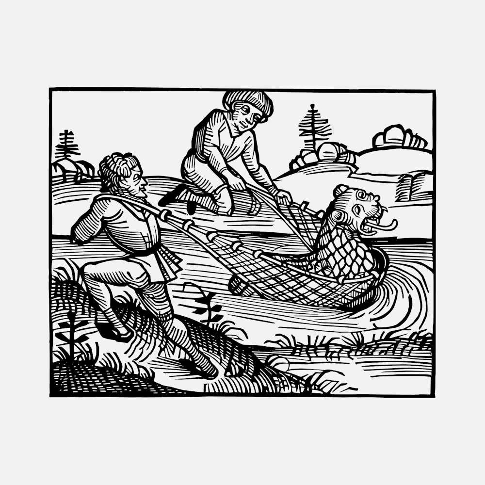 Two Men Catch a Beast in a Fishing Net Vector