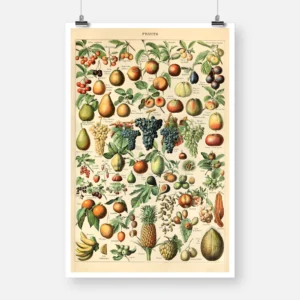 Types of Fruits Poster