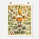 Types of Vegetables Poster