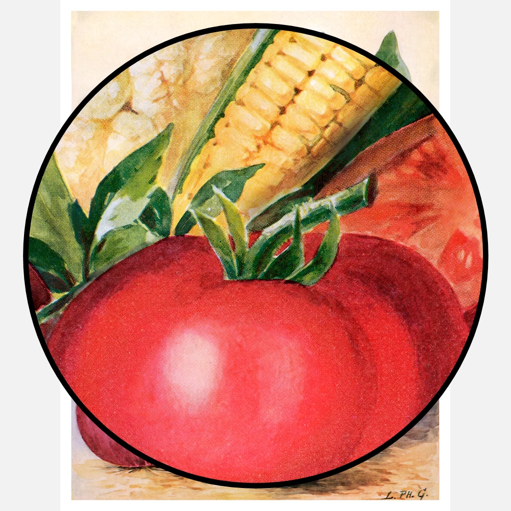 Vegetable Watercolor Illustration Poster