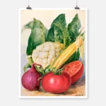 Vegetable Watercolor Illustration Poster
