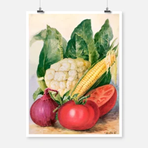 Vegetable Watercolor Illustration Poster