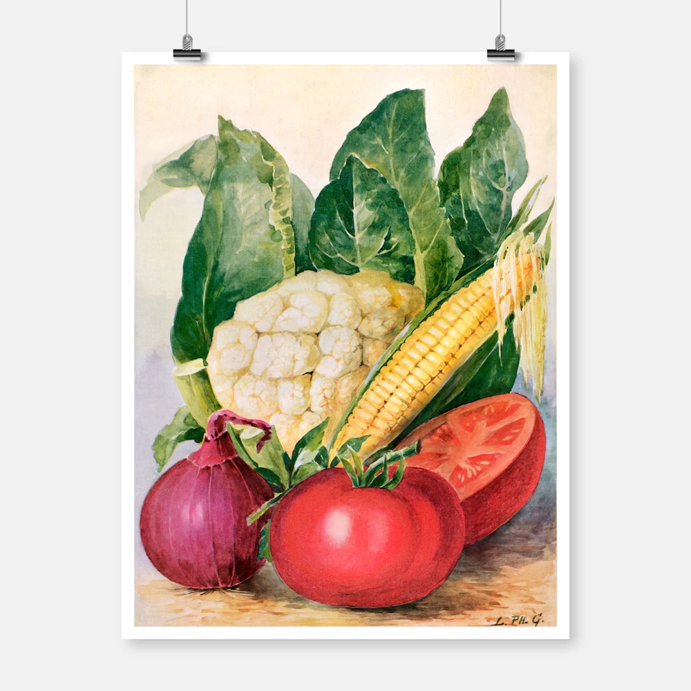 Vegetable Watercolor Illustration Poster