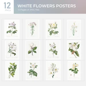 White Flower Poster Collection