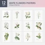 White Flower Posters Collection