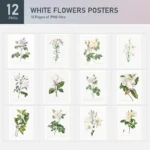 White Flowers Posters Collection