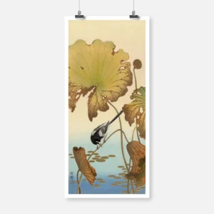 Japanese Wagtail on Lotus Plant Poster