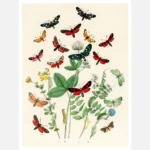 A Kaleidoscope of Fluttering Butterflies Poster