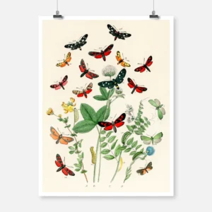 A Kaleidoscope of Fluttering Butterflies Poster