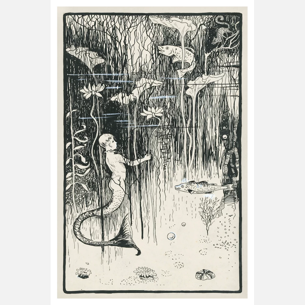Boy with a Fish Tail Underwater Between Fish and Plants Poster
