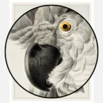 Cockatoo Portrait Poster