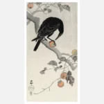 Crow With Persimmon Poster