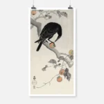 Crow With Persimmon Poster